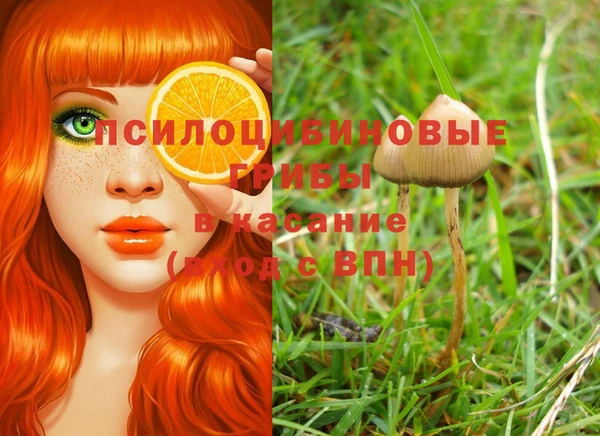 ГАЛЛЮЦИНОГЕННЫЕ ГРИБЫ Лагань